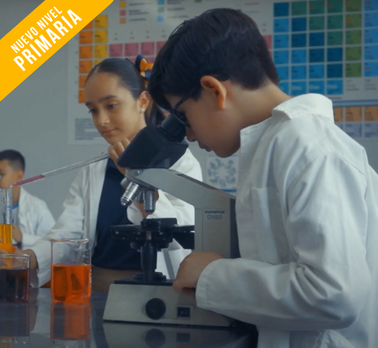 Nivel Primaria